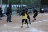 20120425066.jpg